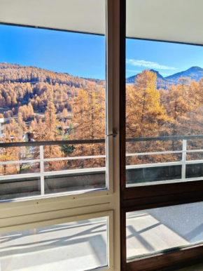 Apt 45 m2 sur les pistes